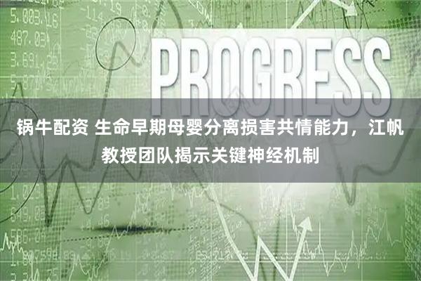 锅牛配资 生命早期母婴分离损害共情能力，江帆教授团队揭示关键神经机制