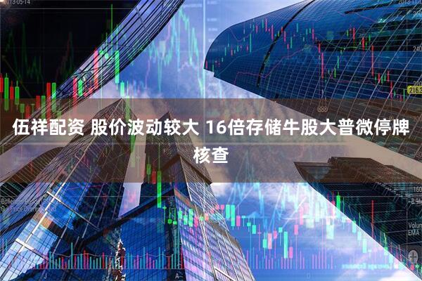 伍祥配资 股价波动较大 16倍存储牛股大普微停牌核查